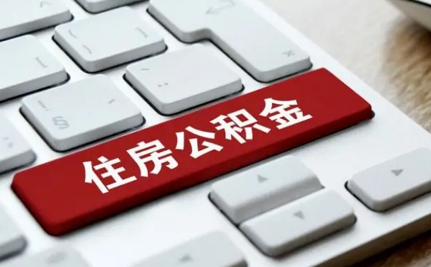 大悟公积金公司交的部分怎么提取（公积金提取公司缴纳部分）